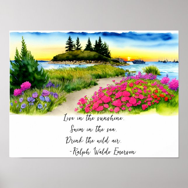 Live In The Sunshine Quote Scenic Poster (Front)