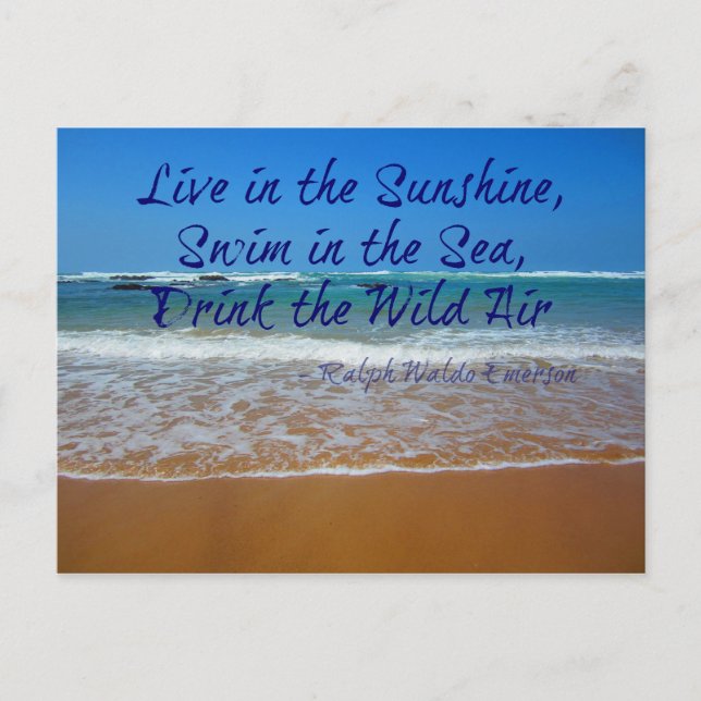 Live in the Sunshine, Swim and Drink Postcard (Front)