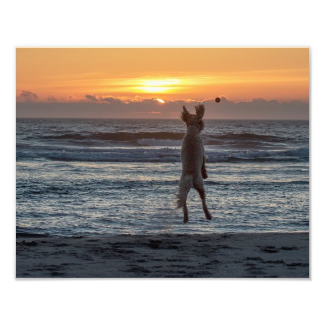 "Live Large" Beach Sunset Photo Print (14" x 11") (Front)
