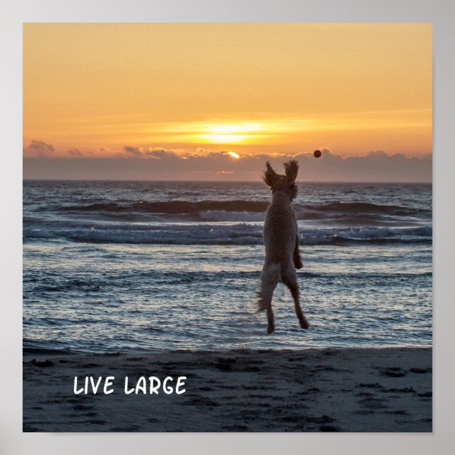 "Live Large" Beach Sunset Poster (12" x 12") (Front)
