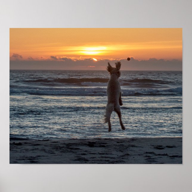 "Live Large" Beach Sunset Poster (14" x 11") (Front)