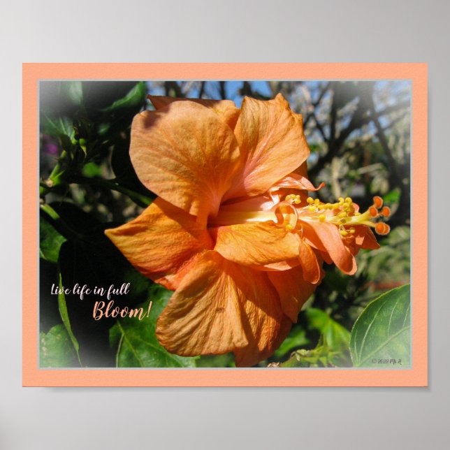 Live Life in Full Bloom Floral Hibiscus Poster (Front)