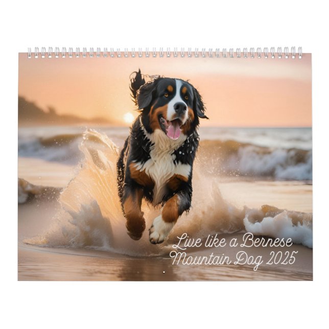 Live Like A Bernese 2025 Wall Calendar            (Cover)