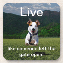 "Live Like Someone Left the Gate Open" Coaster