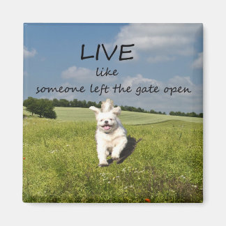 "Live Like Someone Left the Gate Open" Magnet