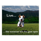 "Live Like Someone Left the Gate Open" Poster