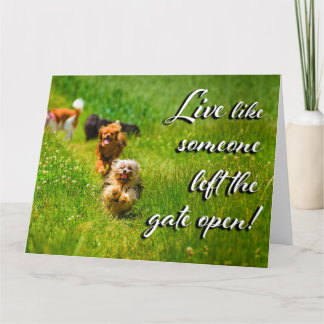 Live Like Someone Left the Gate Open! Thank You Card
