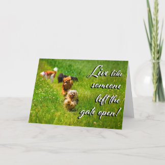 Live Like Someone Left the Gate Open! Thank You Card