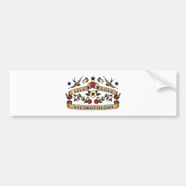 Live Love Anthropology Bumper Sticker (Front)