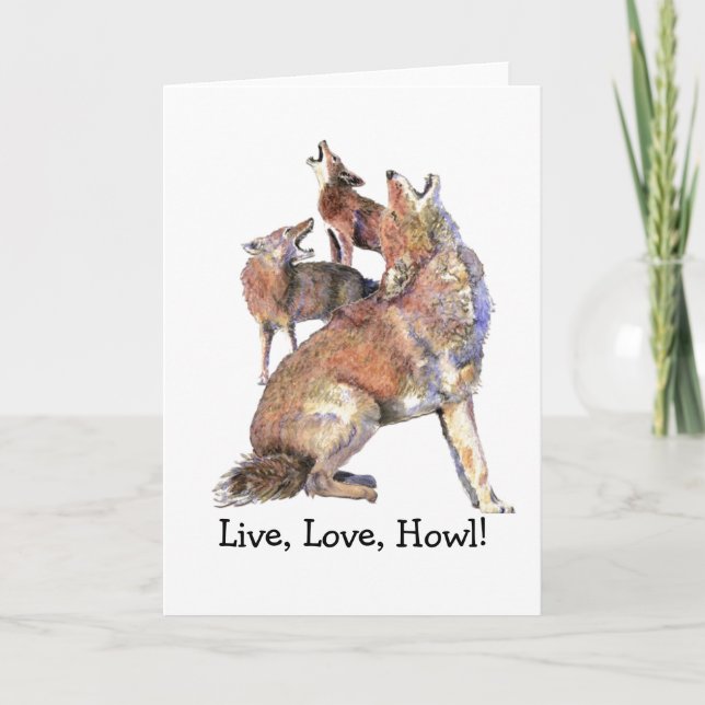 Live, Love, Howl, Fun Howling Coyotes Animal quote Card (Front)