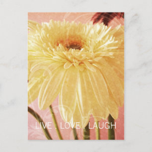 Live Love Laugh Gerbera Flower Light Grunge Postcard
