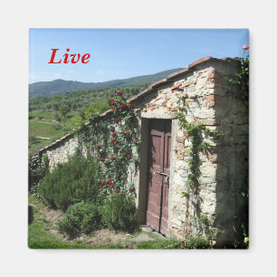 Live Magnet