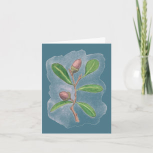 Live Oak Card - Blue