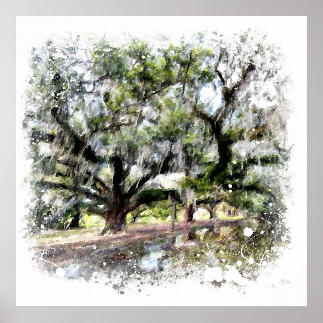 *~* Live Oak New Orleans Living Oaks Art Painting Poster (Front)