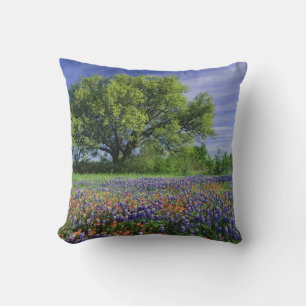 Live Oak & Texas Paintbrush, and Texas Cushion