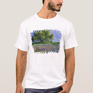 Live Oak & Texas Paintbrush, and Texas T-Shirt