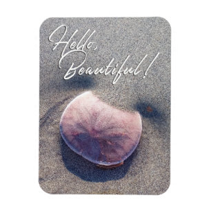 Live Sand Dollar Photo Hello Beautiful Magnet