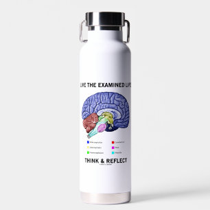 Live The Examined Life Think & Reflect Advice Water Bottle