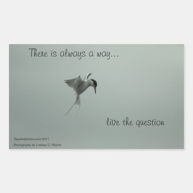 Live the question Stickers (Front)