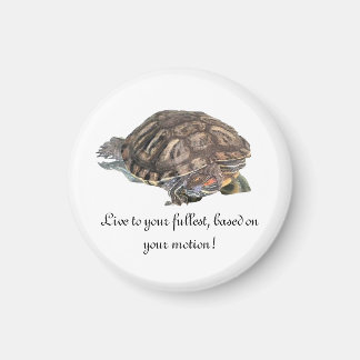 Live to your..., magnet