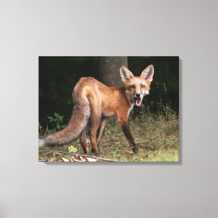 Live With Spirit Canvas Print