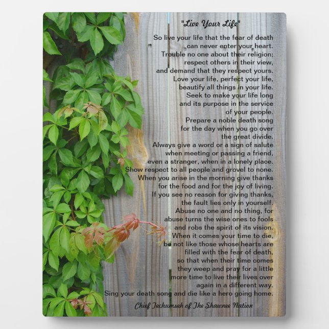 Live your life, Chief Tecumseh plaque (Front)