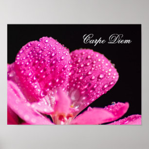 Live your life in harmony with nature! poster