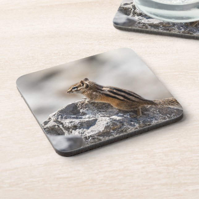 Lively Chipmunk – Forest Animal Artwork Coaster (Left Side)