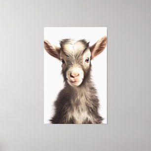 Lively Coloured Authentic Baby Goat Full Portrait Canvas Print
