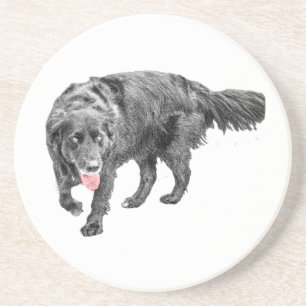 Lively Eyes, Red Tongue Coaster