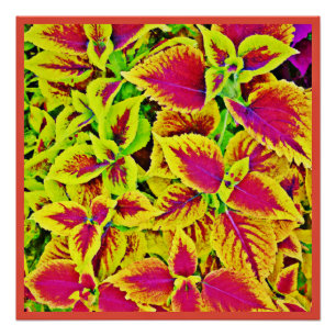 Lively Leaves Pattern Dance Poster