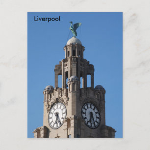 Liver Bird Postcard