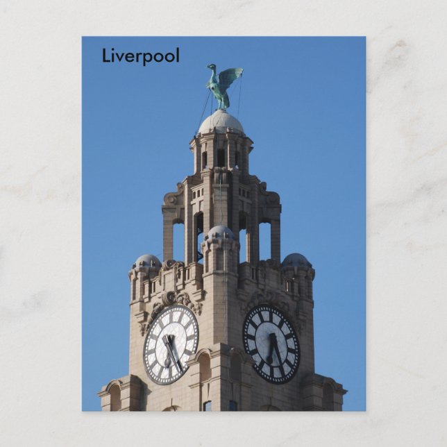 Liver Bird Postcard (Front)