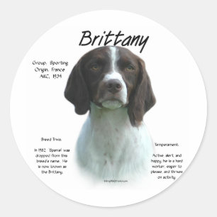 Liver Brittany Spaniel History Classic Round Sticker