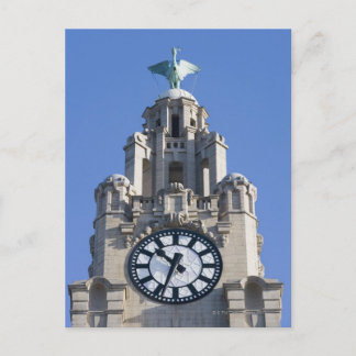 Liver Building, Cunard Building, Liverpool, Postcard