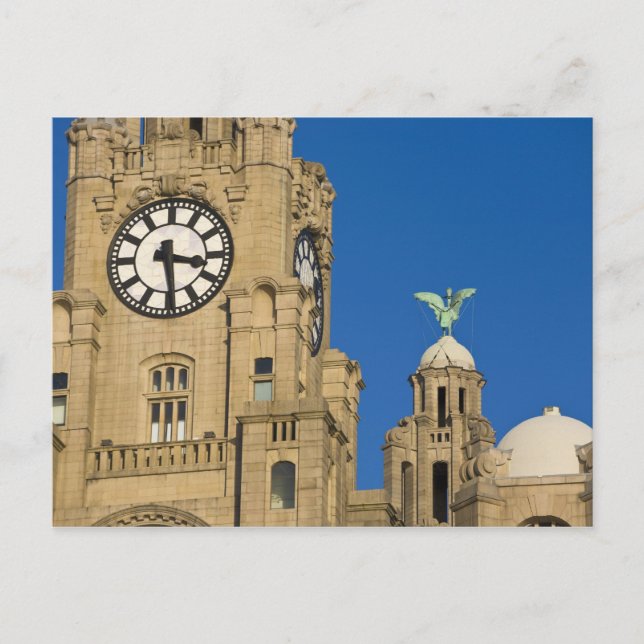 Liver Building, Liverpool, Merseyside, England Postcard (Front)