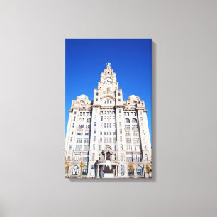 Liver Canvas Print