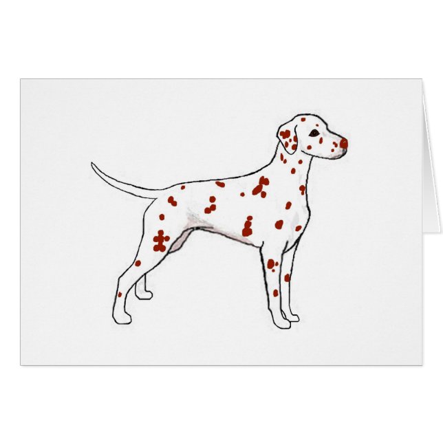 Liver Dalmatian (Front Horizontal)