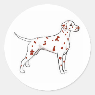 Liver Dalmatian Classic Round Sticker