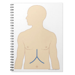 Liver Transplant Spiral Notebook