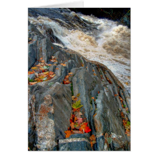 Livermore Leaves: Card