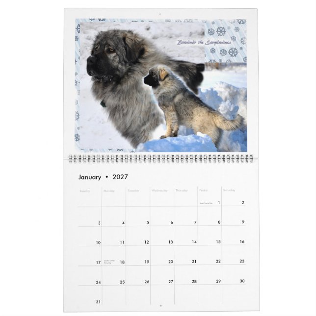 Livestock Guardian Dogs 2015 HUGE Calendar (Jan 2027)