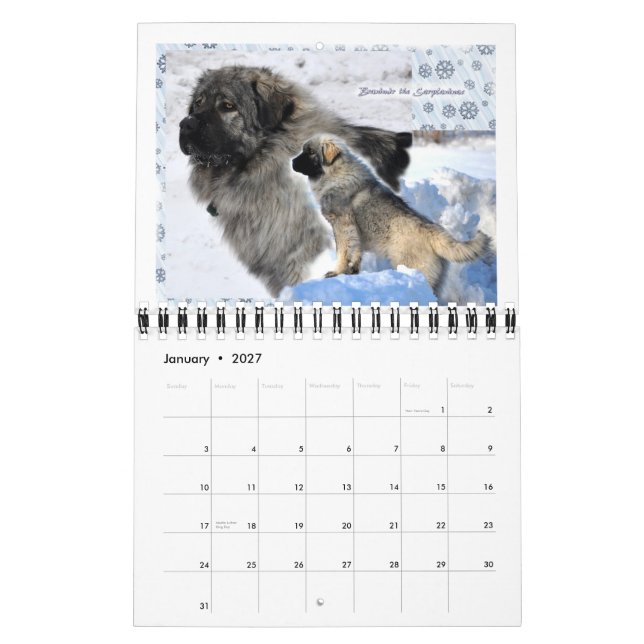 Livestock Guardian Dogs 2015 small Calendar (Jan 2027)