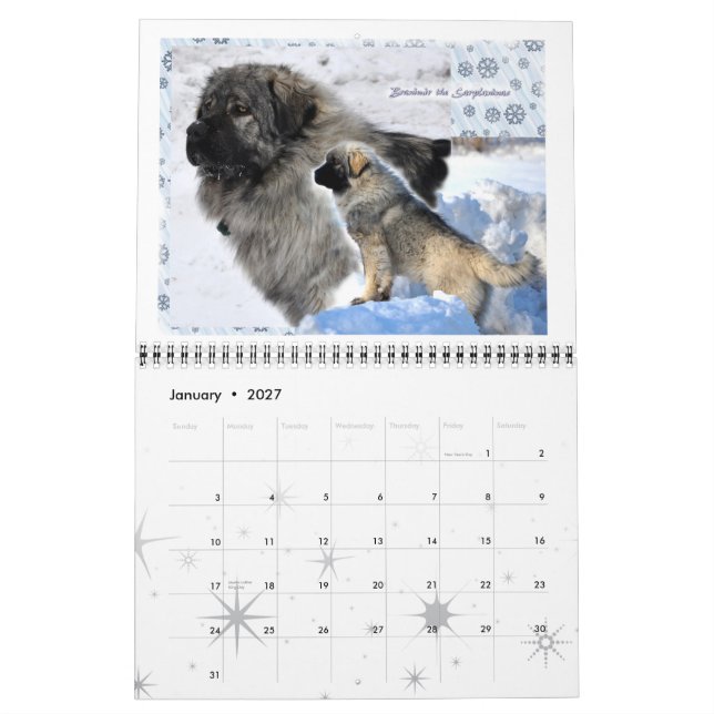 Livestock Guardian Dogs 2015 standard size Calendar (Jan 2027)