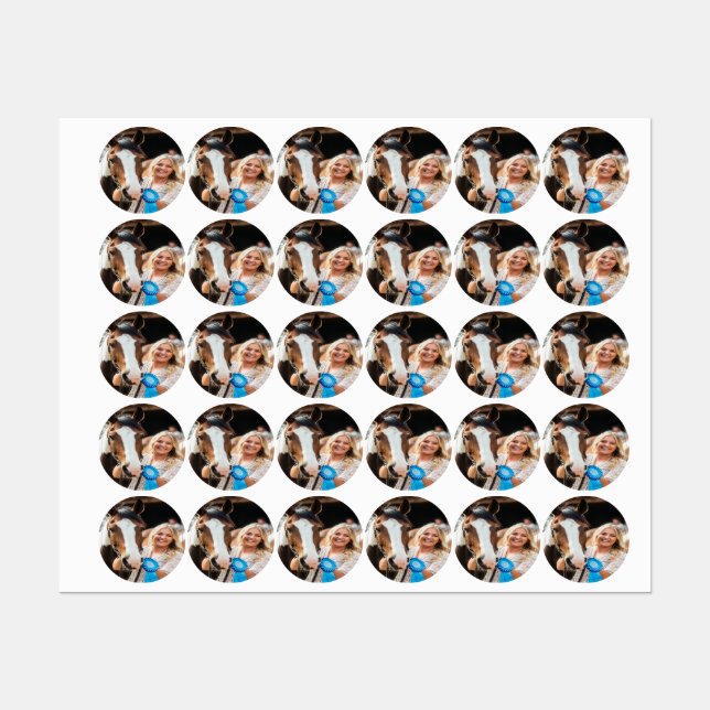 Livestock Show Horse Photo Customize (Sheet)