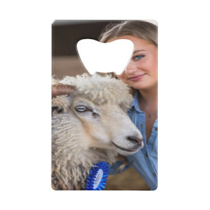 Livestock Show Sheep Photo Customize