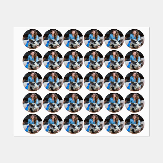 Livestock Show Swine Photo Customize (Sheet)