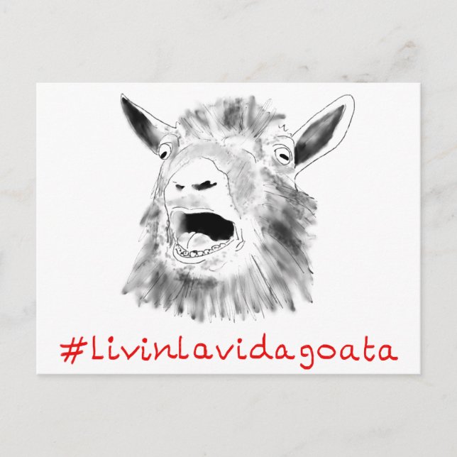 Livin La Vida Goata Funny Screaming Goat Drawing Postcard (Front)