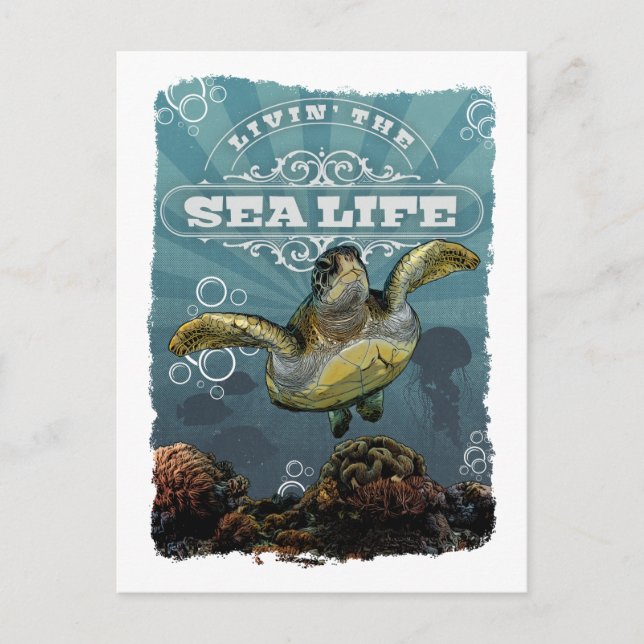Livin' the Sea Life Turtle Postcard (Front)