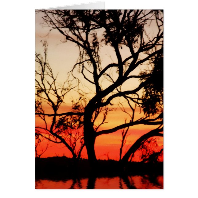 Living Art : Sunset Nature Silhouette Card (Front)